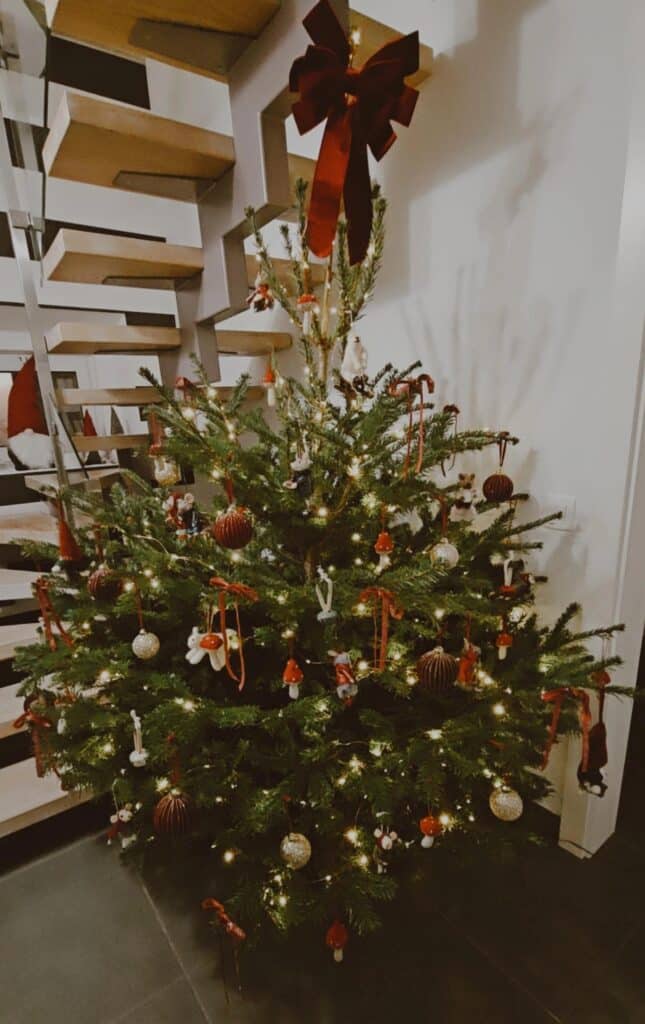 Imagem #1 de Inês de Brito Santana