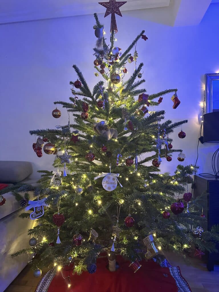 Imagem #1 de Inês Azevedo