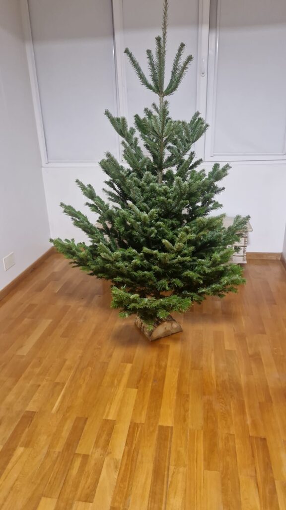 Imagem #1 de Maryna Sheremet