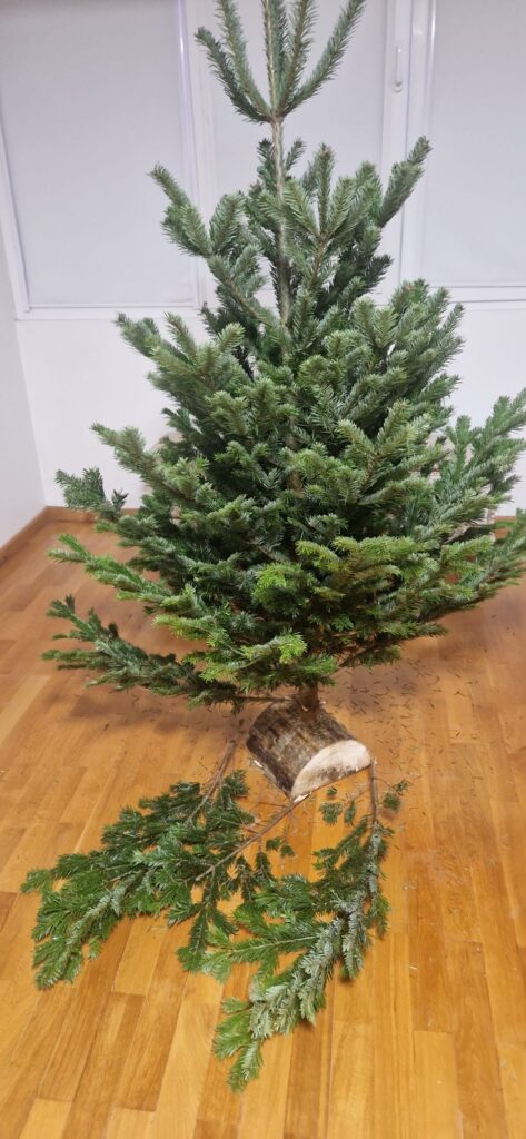 Imagem #2 de Maryna Sheremet