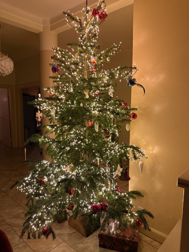 Imagem #2 de Simone Brand