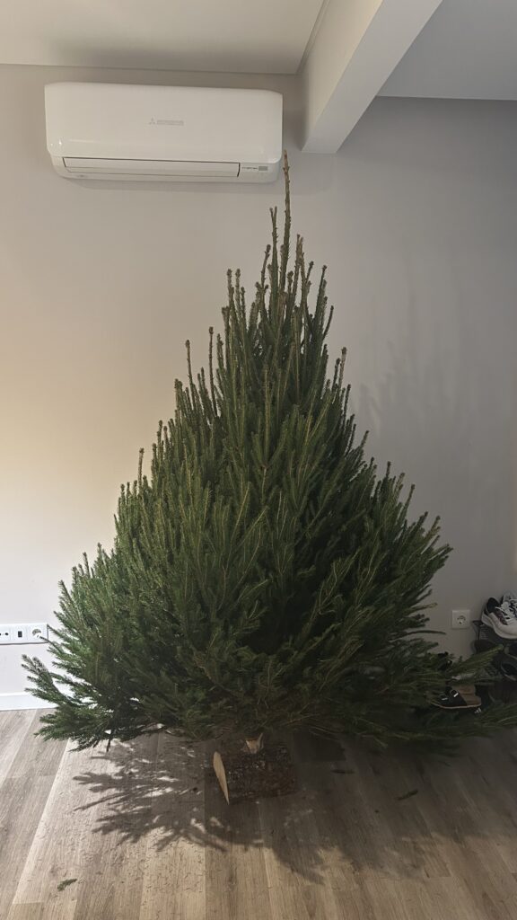 Imagem #1 de Tatsiana W.