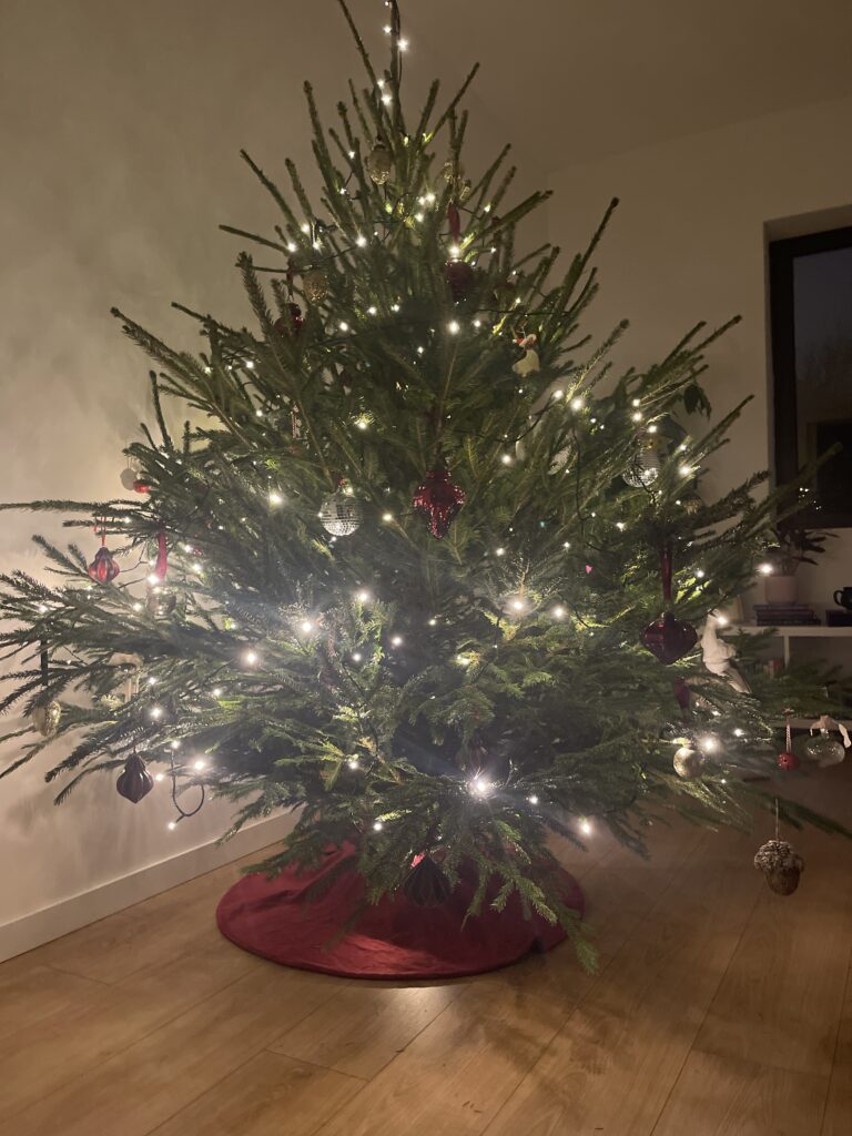 Imagem #1 de Felipe F.