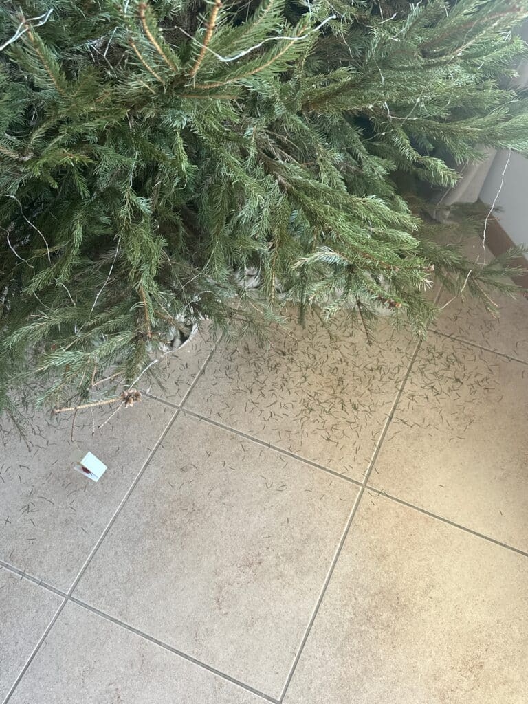 Imagem #1 de Viktoriia